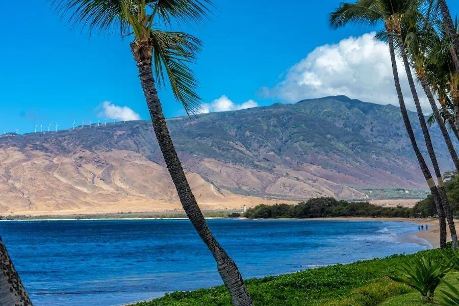Sugar Beach Resort, #Ph12 Condo Kihei 0*,  United States